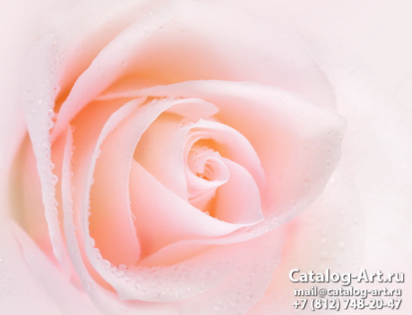 Натяжные потолки с фотопечатью - Розовые розы 28
